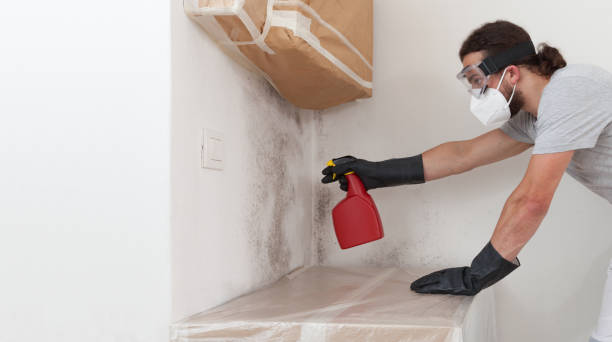 Professional Mold Remediation technician working in Weehawken, NJ