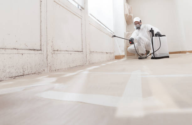 24/7 Emergency Mold Remediation experts in Weehawken, NJ