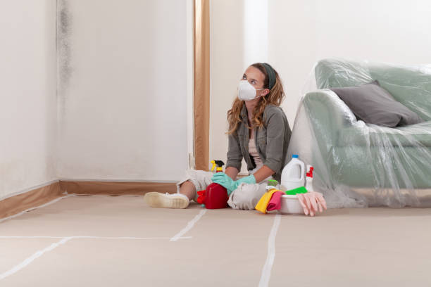 Reliable Mold Remediation contractor in Weehawken, NJ by Mold Remediation HQ